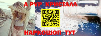 шишки Гатчина