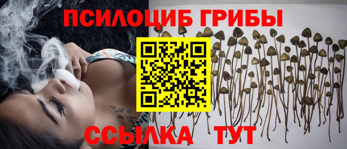 Псилоцибиновые грибы прущие грибы Норильск